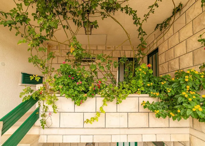 Cosy In Centre With Loggia&seaview Daire